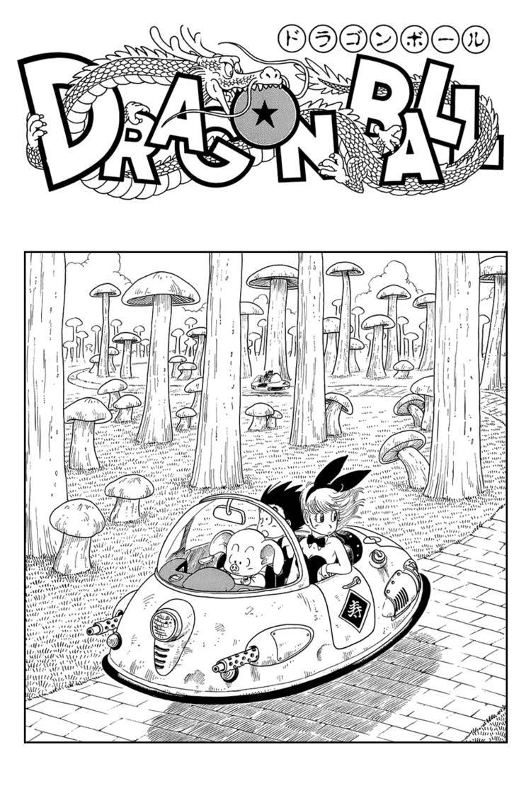 Dragon Ball Chapter 15.029 233